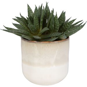 Doha Green with Beige And Tan Glaze Succulent Accent