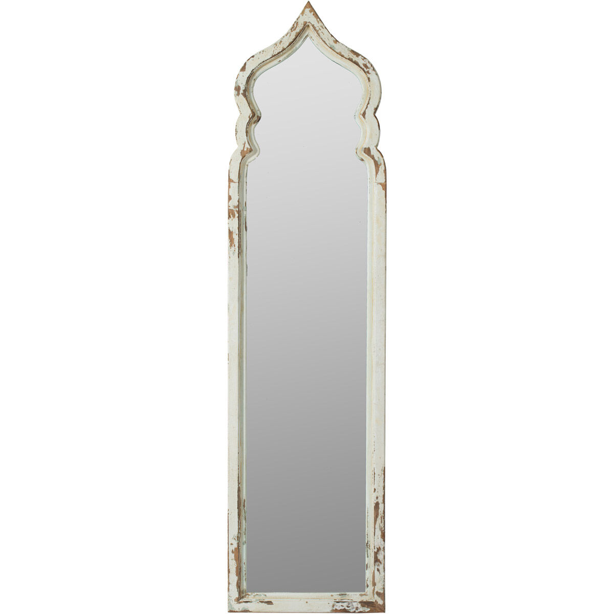 Anita 73.2 X 18.9 inch Clear Floor Mirror