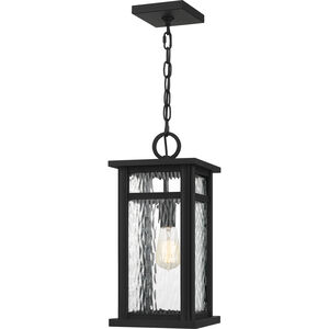 Moira 1 Light 8 inch Earth Black Outdoor Hanging Lantern, Large