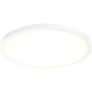 Delta 24.00 inch Flush Mount