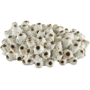 Sulawasi Shells Antique White Decorative Accessory