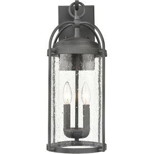 Catalonia 2 Light 19 inch Distressed Zinc Outdoor Wall Sconce