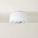 Ciela 2 Light 13.5 inch Polished Nickel Flush Mount Ceiling Light