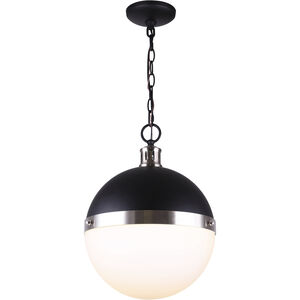 Delta 1 Light 13.00 inch Pendant