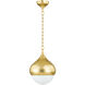 Luciel 1 Light 11.75 inch Vintage Gold Leaf Pendant Ceiling Light