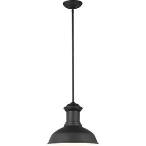 Fredricksburg 1 Light 13.25 inch Outdoor Pendant/Chandelier