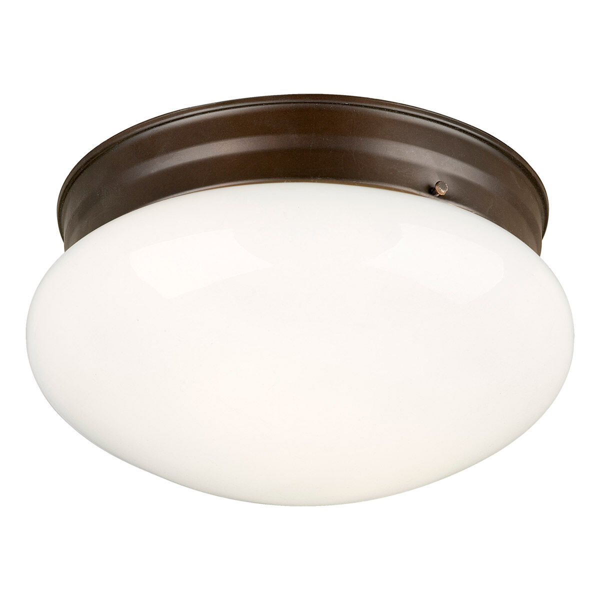 Signature 2 Light 9.50 inch Flush Mount